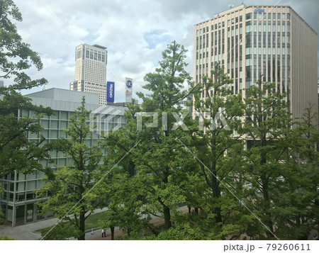 赤れんが庁舎前　赤レンガテラス　 79260611