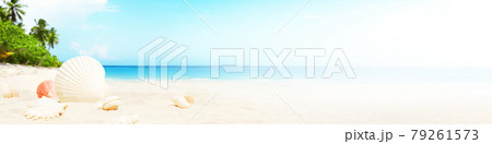 Landscape with seashells on tropical beach - summer holiday. 79261573