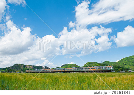 両毛線　211系 79261842