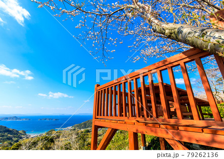 長尾城跡の桜　【長崎県西海市】 79262136
