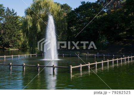 夏の緑の都市公園の噴水 79262525