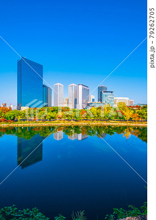 大阪ビジネスパークと秋の大阪城公園 79262705