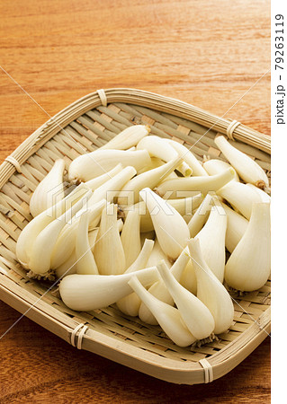 ざるに乗せたらっきょう ざるに乗せたらっきょう 79263119