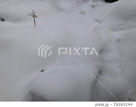 大雪の風景 大雪の風景 79263244