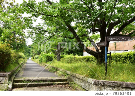 鎌倉ハイキングコース　今泉台6丁目の散在が池森林公園と天園ハイキングコース道しるべと新緑 79263401