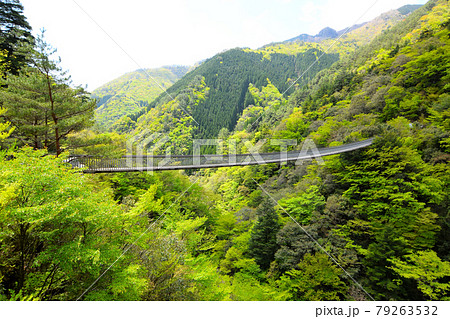 梅の木轟公園 79263532