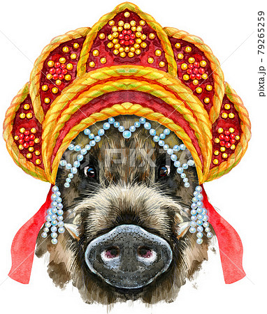 Watercolor portrait of wild boar in Russian national headdress kokoshnik Watercolor portrait of wild boar in Russian national headdress kokoshnik 79265259