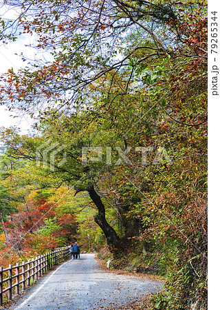 山梨県　紅葉の御嶽昇仙峡　一本道 79265344