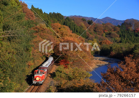 わたらせ渓谷号と紅葉 わたらせ渓谷号と紅葉 79266157