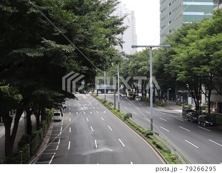 東京　すいてる幹線道路（新宿） 79266295