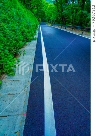 路側帯と車両通行帯を区切る白線（区画線） 79267512