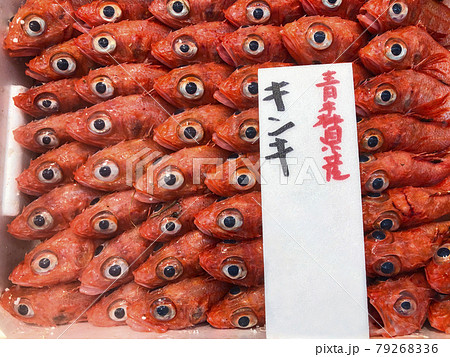 魚屋の店頭に並んでいたキンキ 撮影許可済み の写真素材