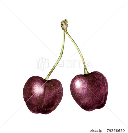Watercolor black cherries 79268620