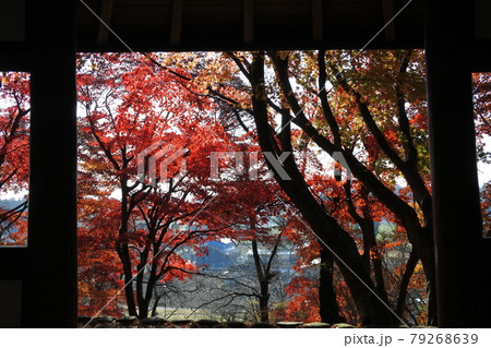東屋から見た紅葉 79268639