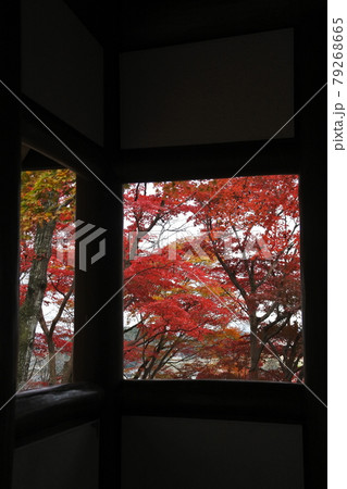 東屋から見た紅葉 東屋から見た紅葉 79268665