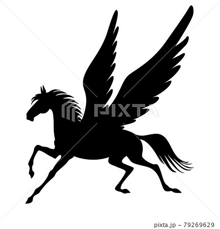 Silhouette of winged horse 79269629