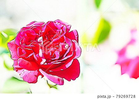 パステル調 一輪のバラの花 イラストイメージのイラスト素材