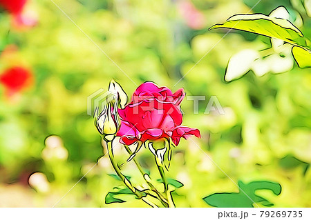 パステル調　”一輪のバラの花”　イラストイメージ 79269735