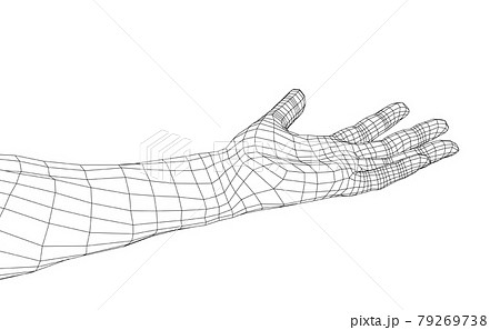 Open palm hand gesture of male hand. Vector 79269738
