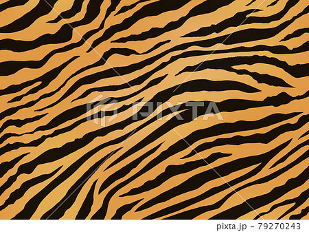 縦横両方向にシームレスなトラ柄の背景イラストのイラスト素材