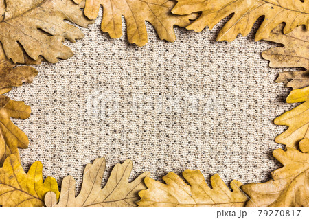 Autumn background with dried leaves Autumn background with dried leaves 79270817