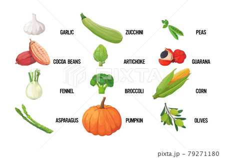 set fresh green vegetables tasty vegetarian healthy food concept horizontal set fresh green vegetables tasty vegetarian healthy food concept horizontal 79271180