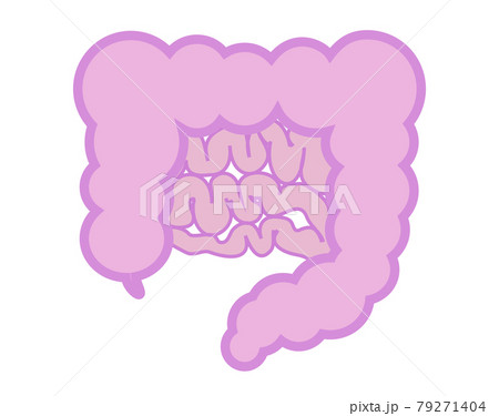 不健康な腸のイラスト　アウトライン有り 79271404