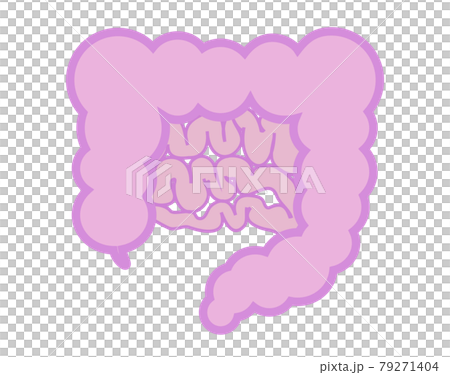 不健康な腸のイラスト　アウトライン有り 79271404