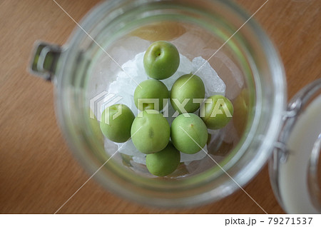 滅菌した瓶に、青梅と氷砂糖を詰める 79271537