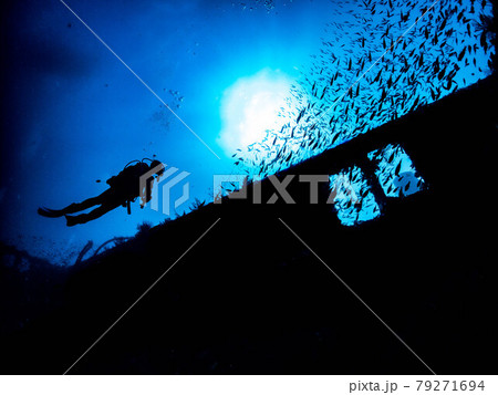 ダイバー 79271694