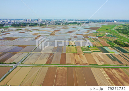 田植え前の田園風景 79271782