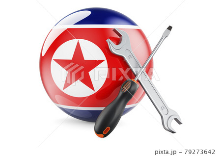 Service and repair in North Korea concept. Screwdriver and wrench with North Korean flag, 3D rendering 79273642
