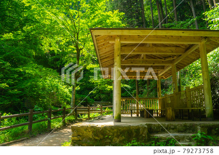 初夏　払沢の滝　休憩所	 79273758