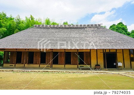 春の都筑民家園（大塚・歳勝土遺跡公園） 79274035