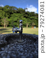 蛇口 79274081