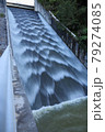 放水 79274085