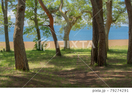 猪苗代湖　志田浜 79274291