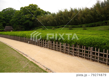 岡山 後楽園 岡山 後楽園 79274879