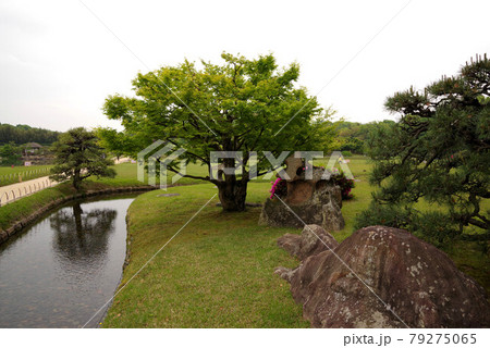 岡山 後楽園 岡山 後楽園 79275065