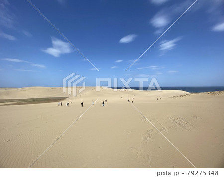 青空と砂丘 79275348