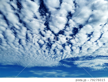 Altocumulus and Cirrocumulus, Small clouds spread across the blue sky. Skyscape background. 79276015