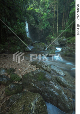 和歌山県の絶景 桑ノ木の滝 新緑 79276050