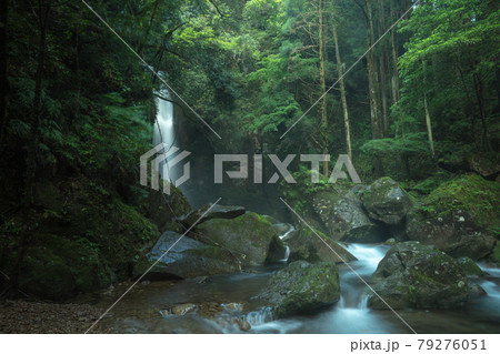 和歌山県の絶景 桑ノ木の滝 新緑 和歌山県の絶景 桑ノ木の滝 新緑 79276051