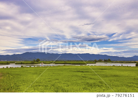 福島潟 新潟県新潟市 福島潟 新潟県新潟市 79276151