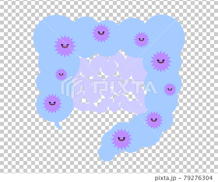 腸内フローラ　悪玉菌 79276304