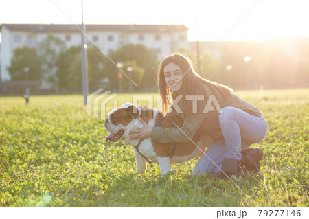 young girl play with her british bulldog at sunset young girl play with her british bulldog at sunset 79277146