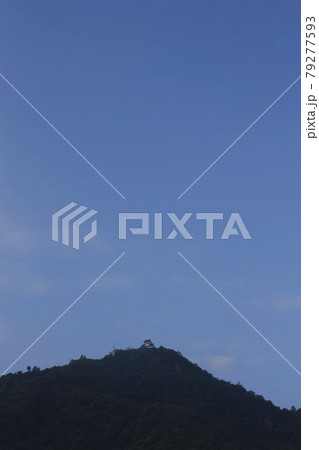 6月中旬岐阜市内朝の金華山岐阜城 6月中旬岐阜市内朝の金華山岐阜城 79277593