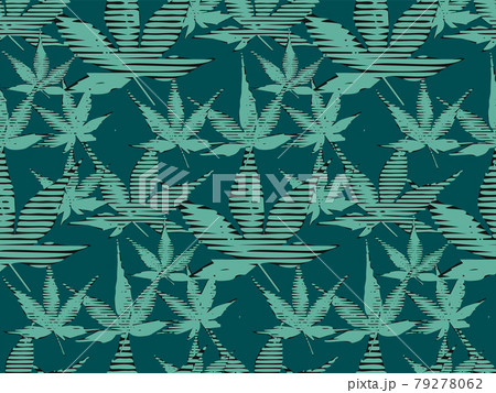 A seamless pattern. Cannabis  79278062