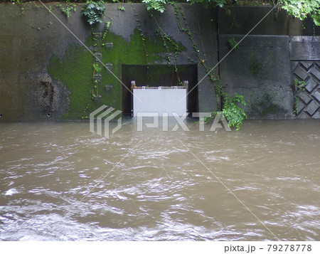 増水した河川からの逆流を止める排水口の逆水防止弁 79278778