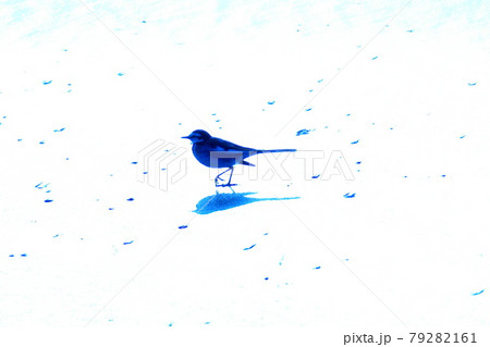 カラフル ハクセキレイ 白鶺鴒 野鳥 鳥 自然風景(2021年7月登録) 最大サイズ:M カラフル ハクセキレイ 白鶺鴒 野鳥 鳥 自然風景(2021年7月登録) 最大サイズ:M 79282161